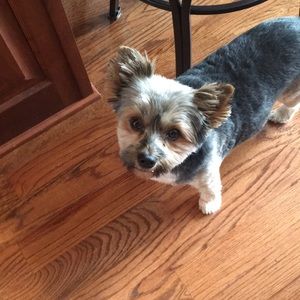 Meet your Posher, Rob